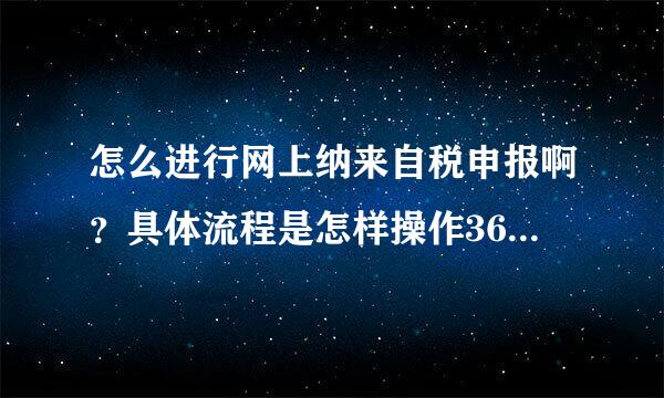 怎么进行网上纳来自税申报啊？具体流程是怎样操作360问答的啊？
