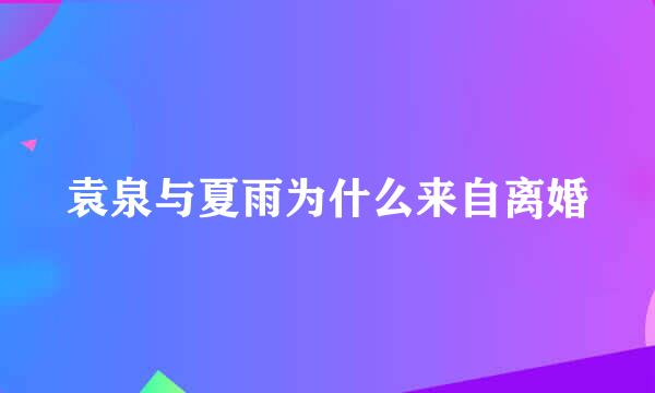 袁泉与夏雨为什么来自离婚