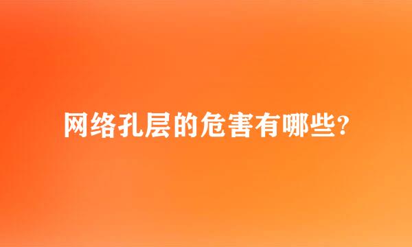 网络孔层的危害有哪些?