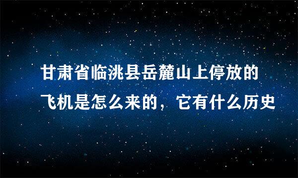 甘肃省临洮县岳麓山上停放的飞机是怎么来的，它有什么历史