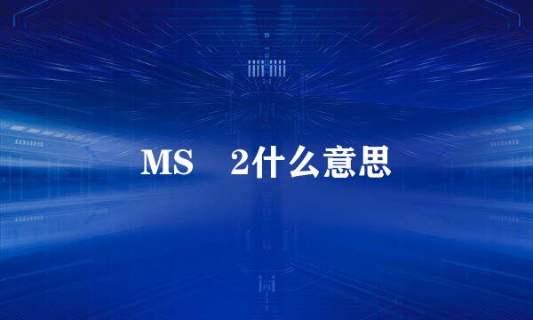 MS 2什么意思