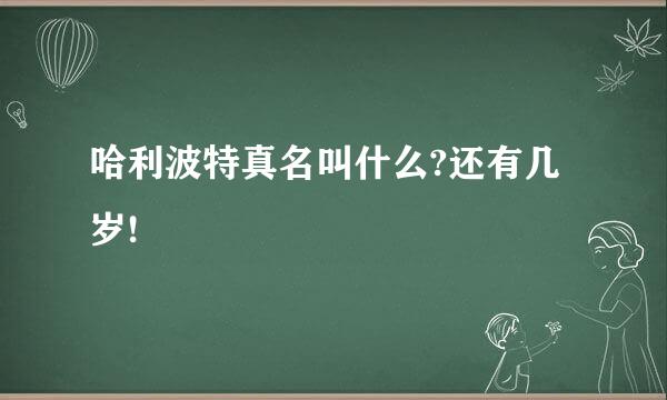 哈利波特真名叫什么?还有几岁!