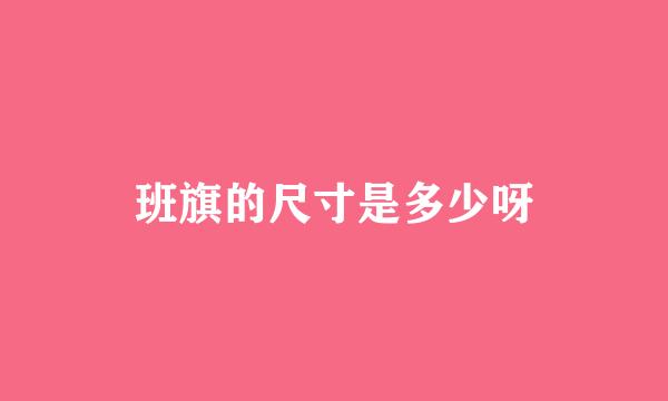 班旗的尺寸是多少呀