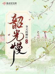 求冬天的柳叶写的《韶光慢》百度云txt。。