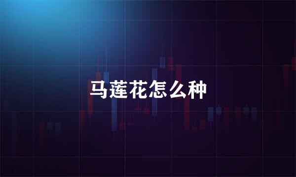 马莲花怎么种