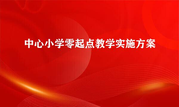 中心小学零起点教学实施方案