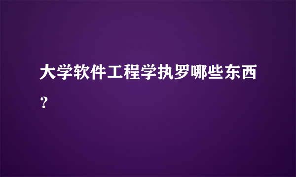 大学软件工程学执罗哪些东西？