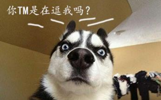 exc来自use me是什么梗