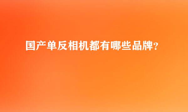 国产单反相机都有哪些品牌？
