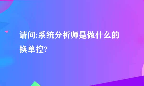 请问:系统分析师是做什么的换单控?
