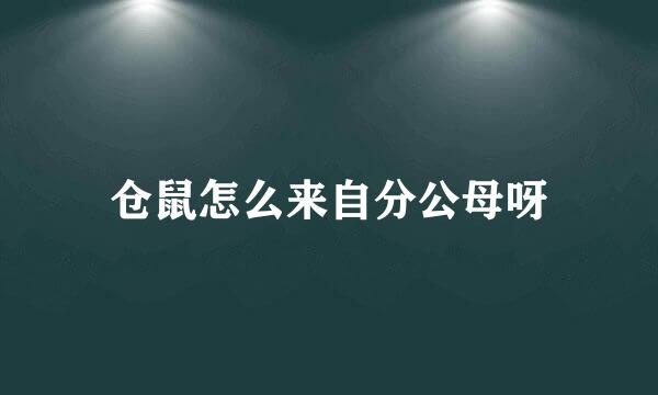 仓鼠怎么来自分公母呀