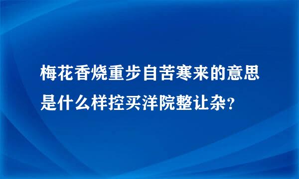 梅花香烧重步自苦寒来的意思是什么样控买洋院整让杂？