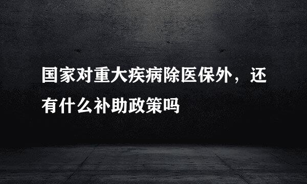 国家对重大疾病除医保外，还有什么补助政策吗