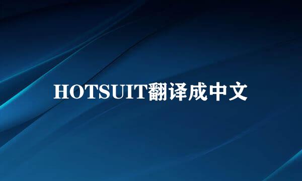 HOTSUIT翻译成中文