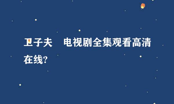 卫子夫 电视剧全集观看高清在线?