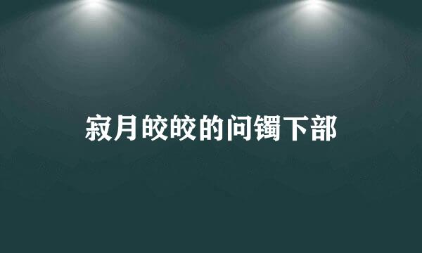 寂月皎皎的问镯下部