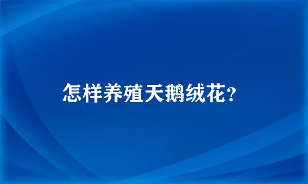 怎样养殖天鹅绒花？