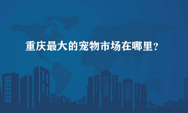 重庆最大的宠物市场在哪里？
