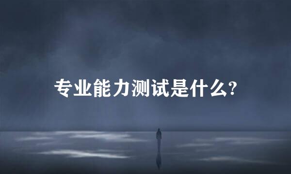 专业能力测试是什么?