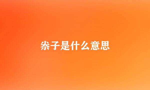 尜子是什么意思
