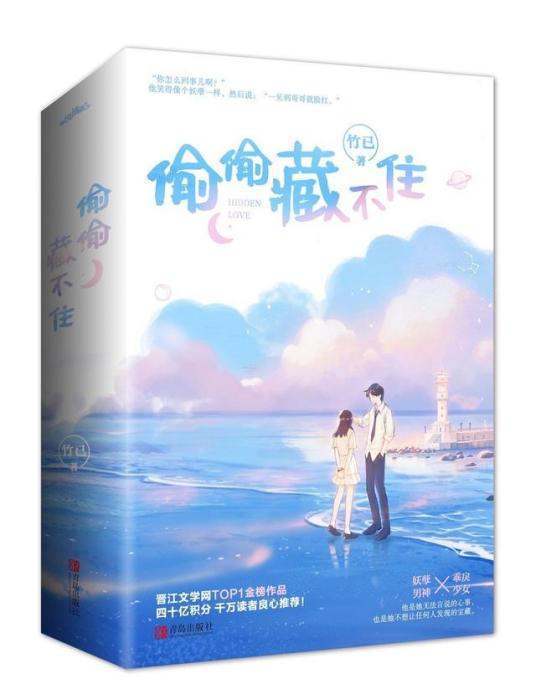求《偷偷藏不住》竹已，txt