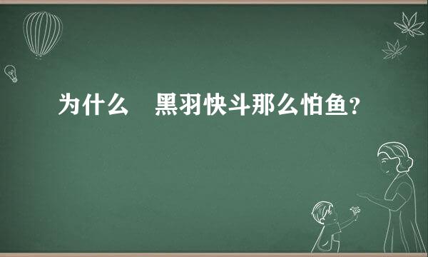 为什么 黑羽快斗那么怕鱼？