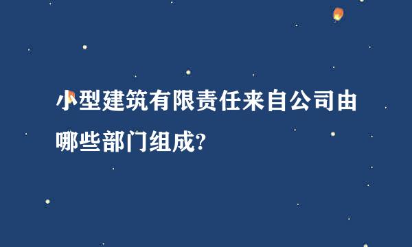 小型建筑有限责任来自公司由哪些部门组成?