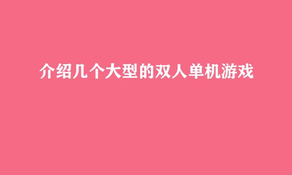 介绍几个大型的双人单机游戏