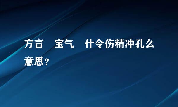 方言 宝气 什令伤精冲孔么意思？