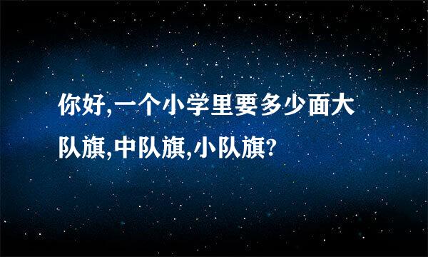 你好,一个小学里要多少面大队旗,中队旗,小队旗?