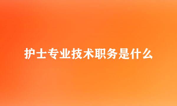 护士专业技术职务是什么