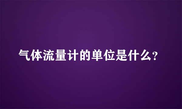 气体流量计的单位是什么？