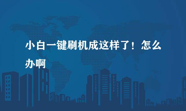 小白一键刷机成这样了！怎么办啊
