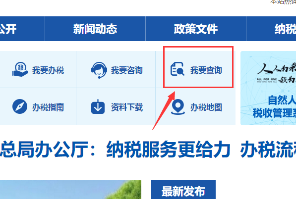 辽宁省国税发案针染两后票查询