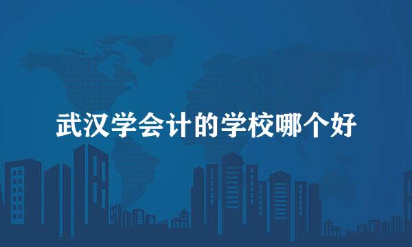 武汉学会计的学校哪个好