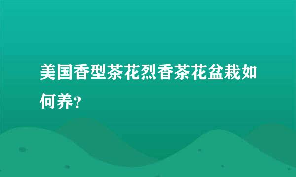 美国香型茶花烈香茶花盆栽如何养？