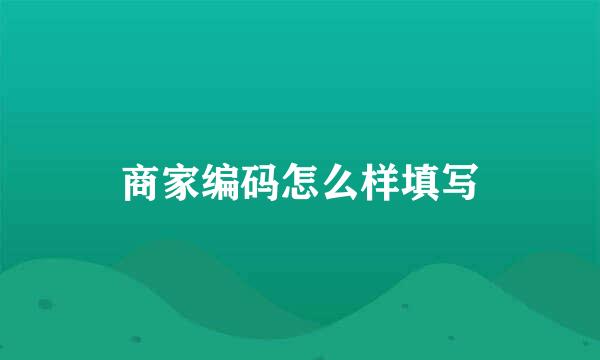 商家编码怎么样填写