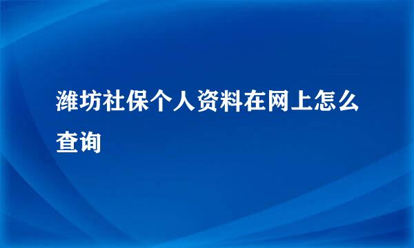 潍坊社保个人资料在网上怎么查询