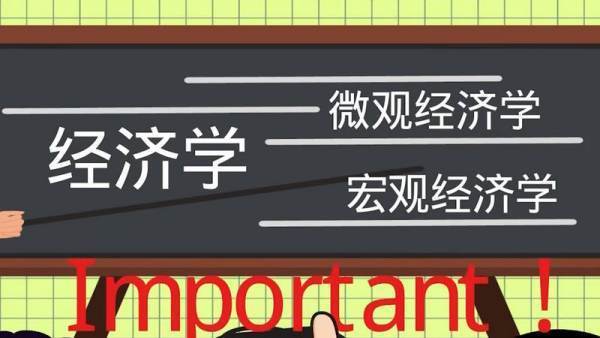微观经济学主要讲的是什么内容