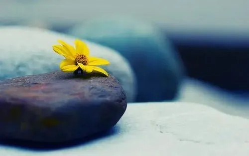 做人做事的道理人生感悟有哪些?