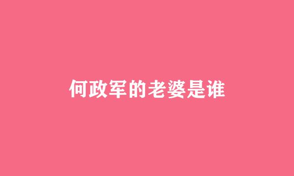 何政军的老婆是谁