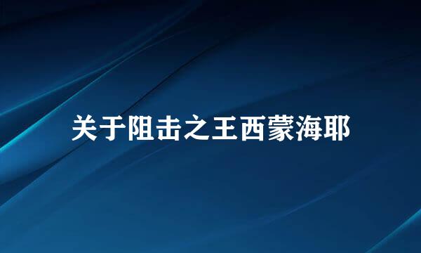 关于阻击之王西蒙海耶