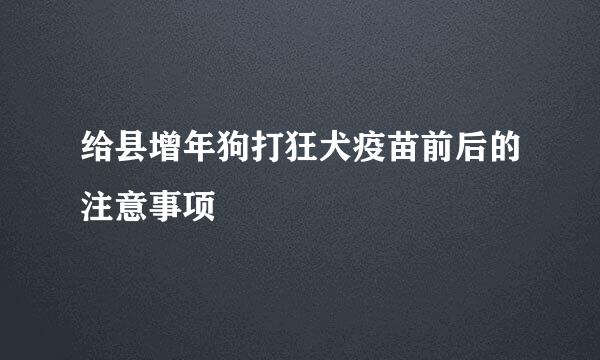 给县增年狗打狂犬疫苗前后的注意事项