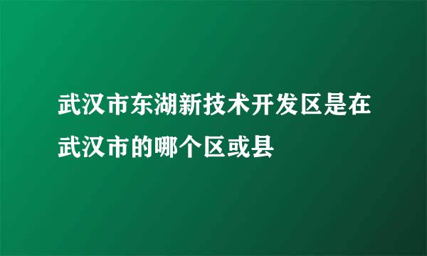 武汉市东湖新技术开发区是在武汉市的哪个区或县