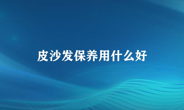 皮沙发保养用什么好