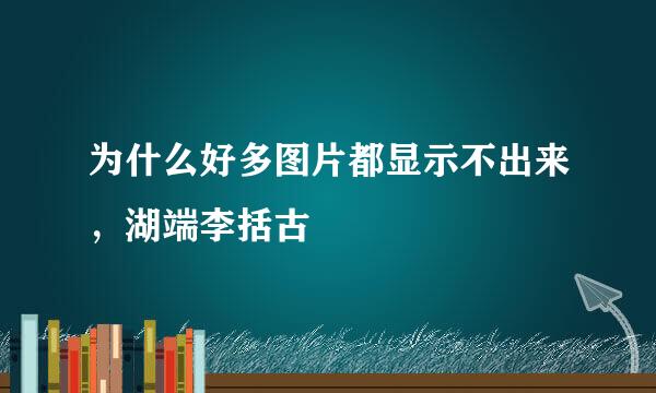 为什么好多图片都显示不出来，湖端李括古