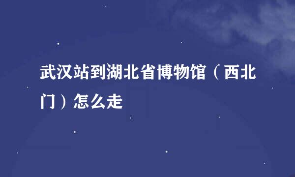武汉站到湖北省博物馆（西北门）怎么走