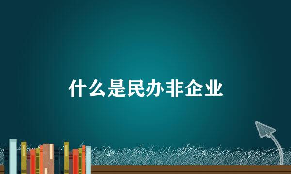 什么是民办非企业