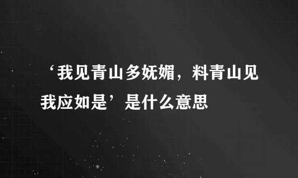 ‘我见青山多妩媚，料青山见我应如是’是什么意思