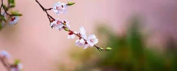 立春的含义是什么意思
